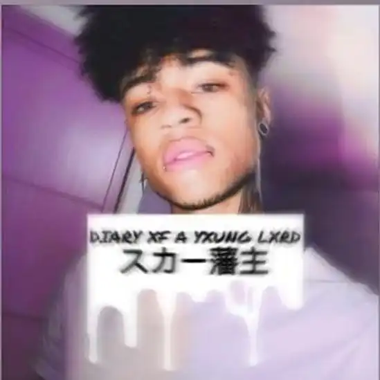 Capa do Diary Ox A Yxung Lxrd