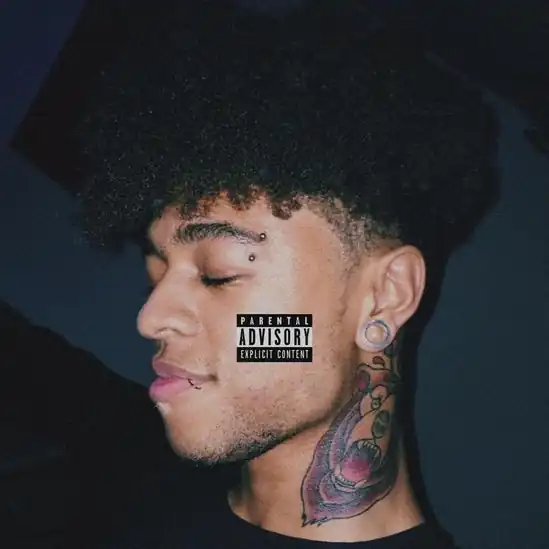Capa do Sxurce Txw Lxrd